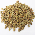 Wholesale Yunnan High Quality Coffee Beans With Best Price Arabica Beans For Import Good Quality Raw Coffee Beans